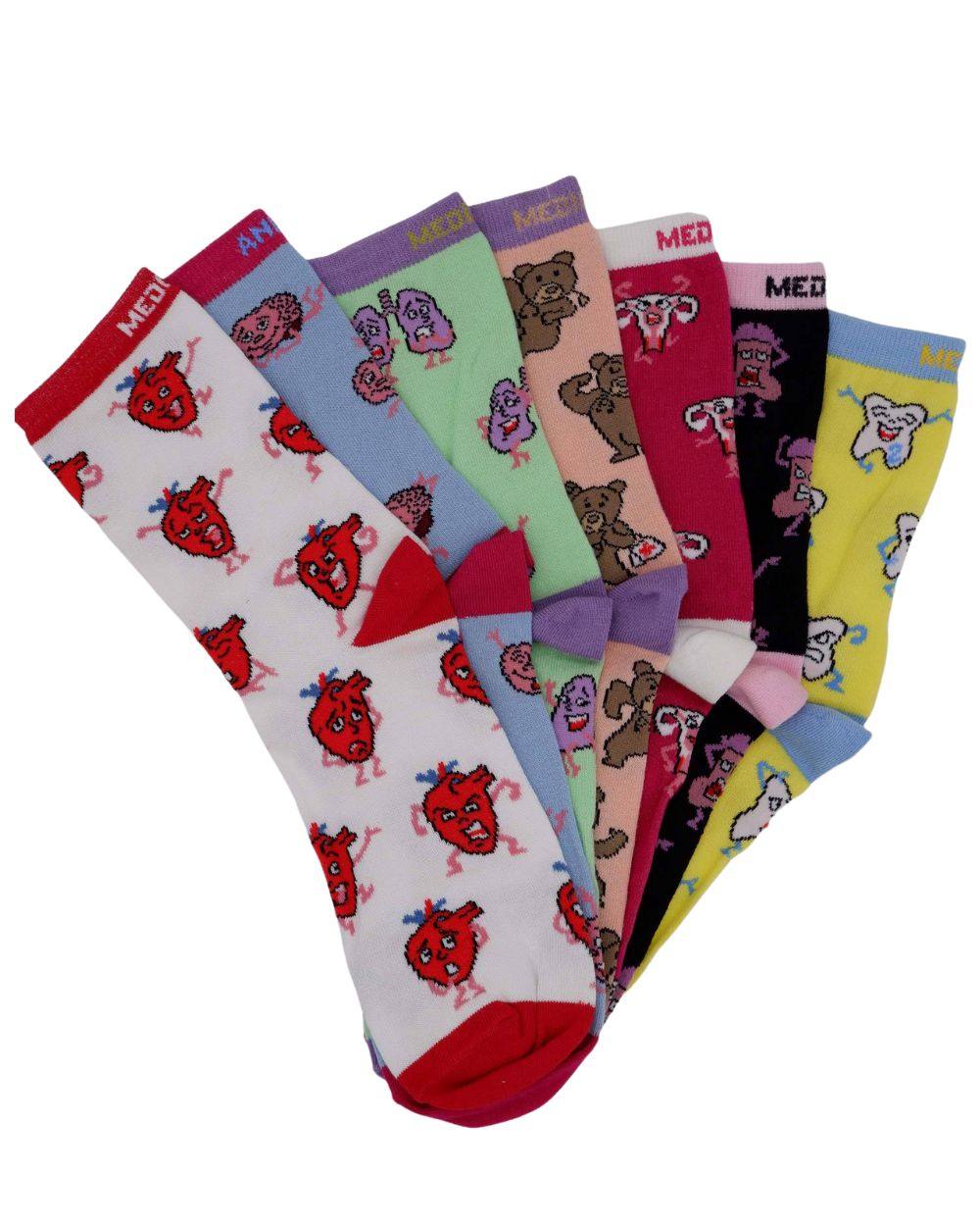 Anatomie Socken Set aus Bio-Baumwolle - Animus Medicus GmbH