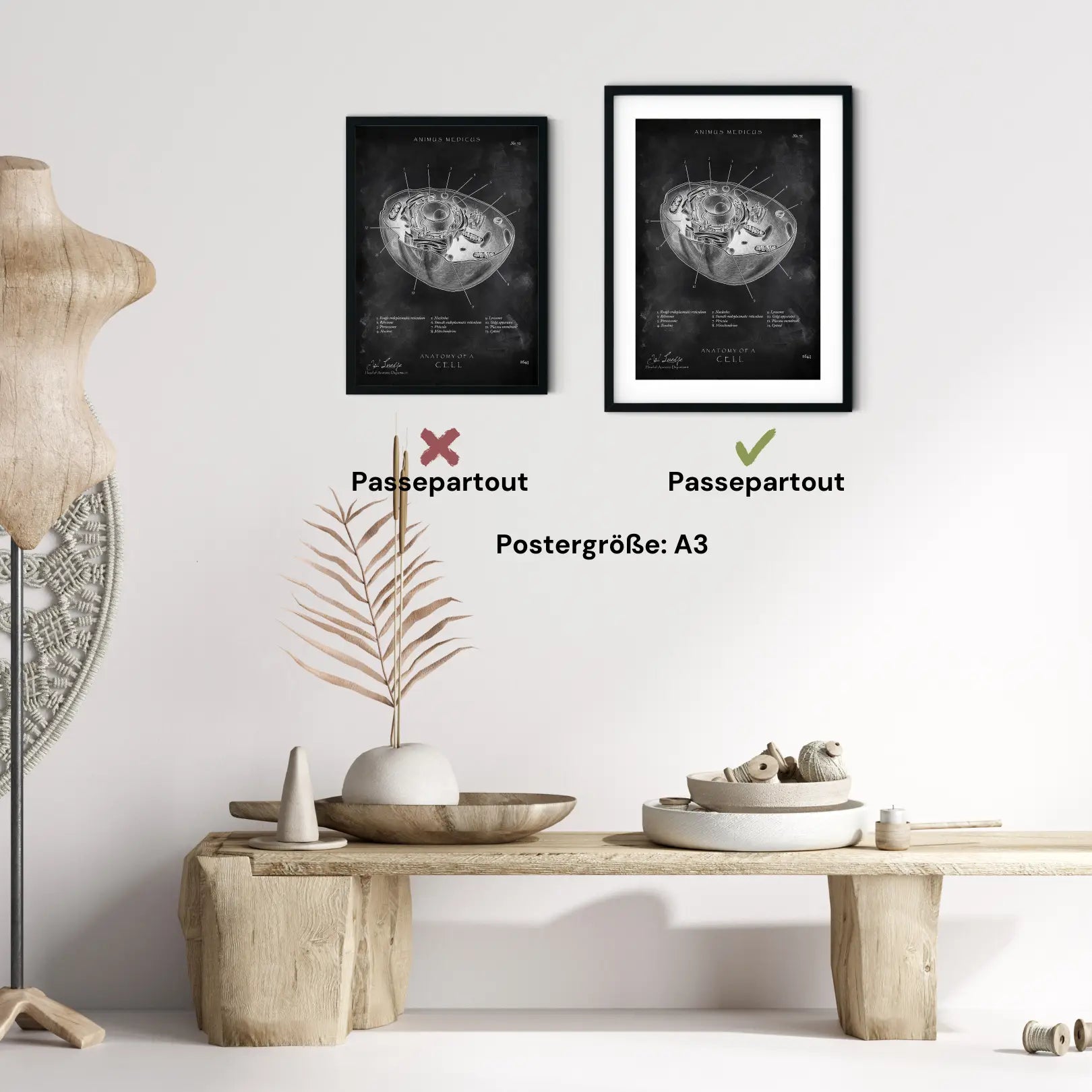 Aufbau menschliche Zelle - Chalkboard - Animus Medicus GmbH