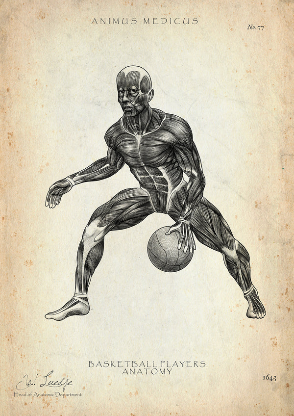 Basketball Anatomie Poster
