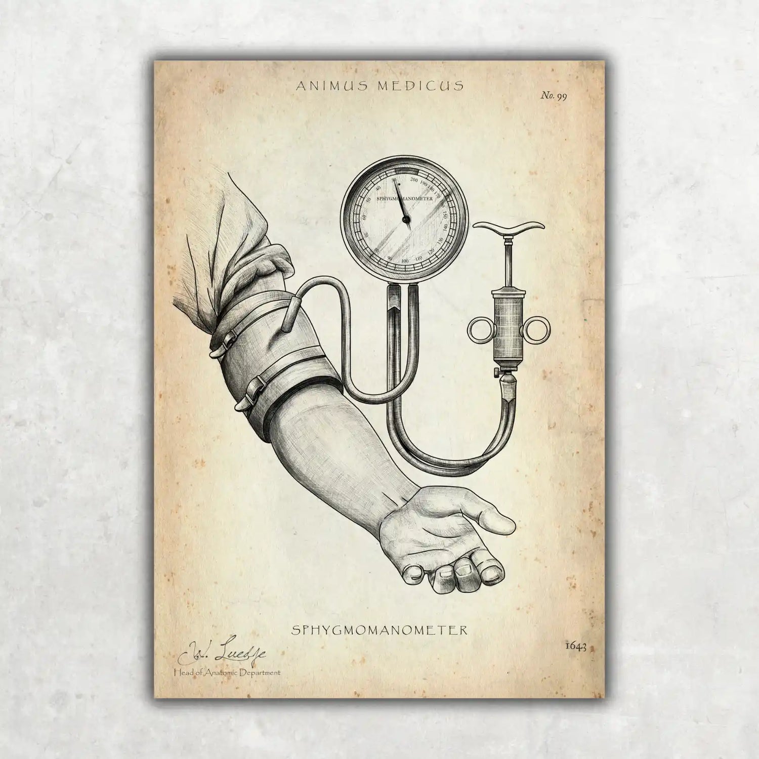 Blutdruck Poster - Animus Medicus GmbH
