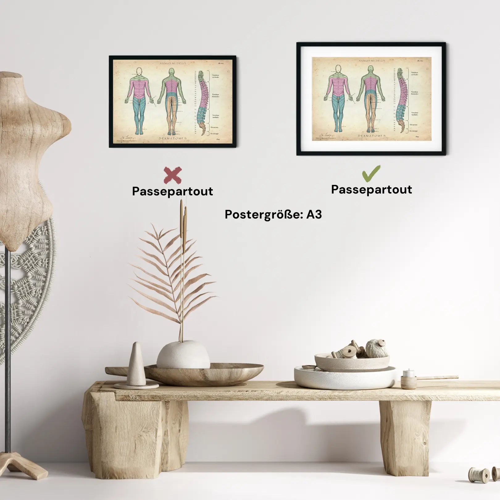 Dermatome - Animus Medicus GmbH