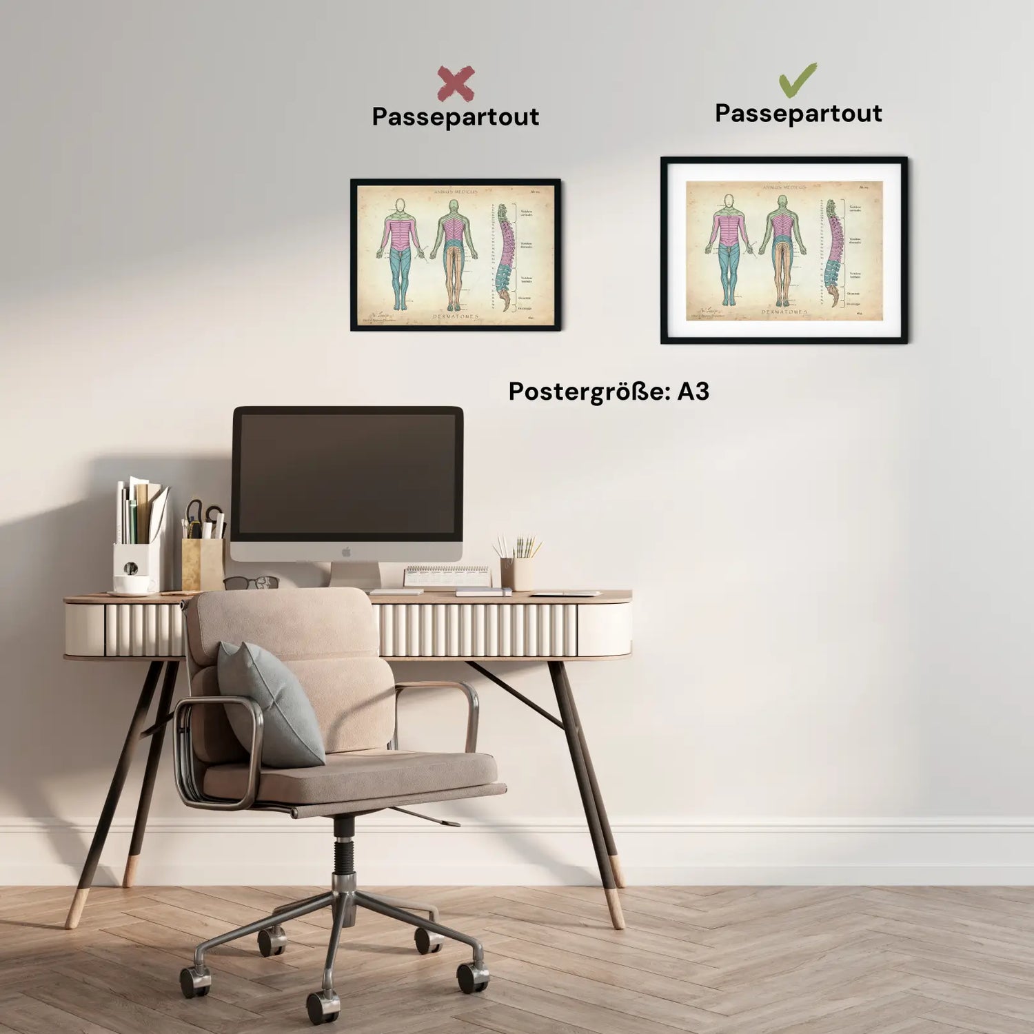 Dermatome - Animus Medicus GmbH