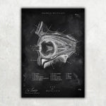 Die Augen Anatomie - Chalkboard - Animus Medicus GmbH