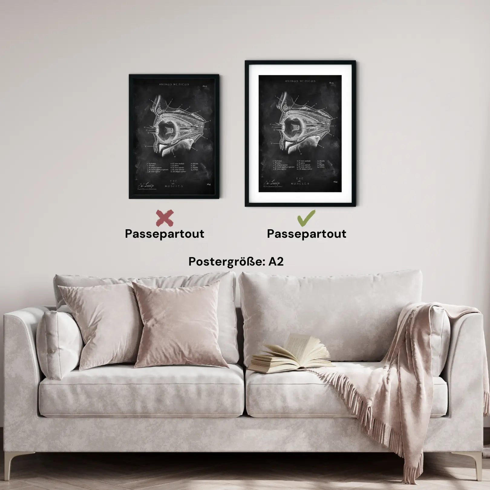Die Augen Anatomie - Chalkboard - Animus Medicus GmbH