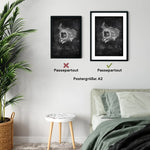 Die Augen Anatomie - Chalkboard - Animus Medicus GmbH