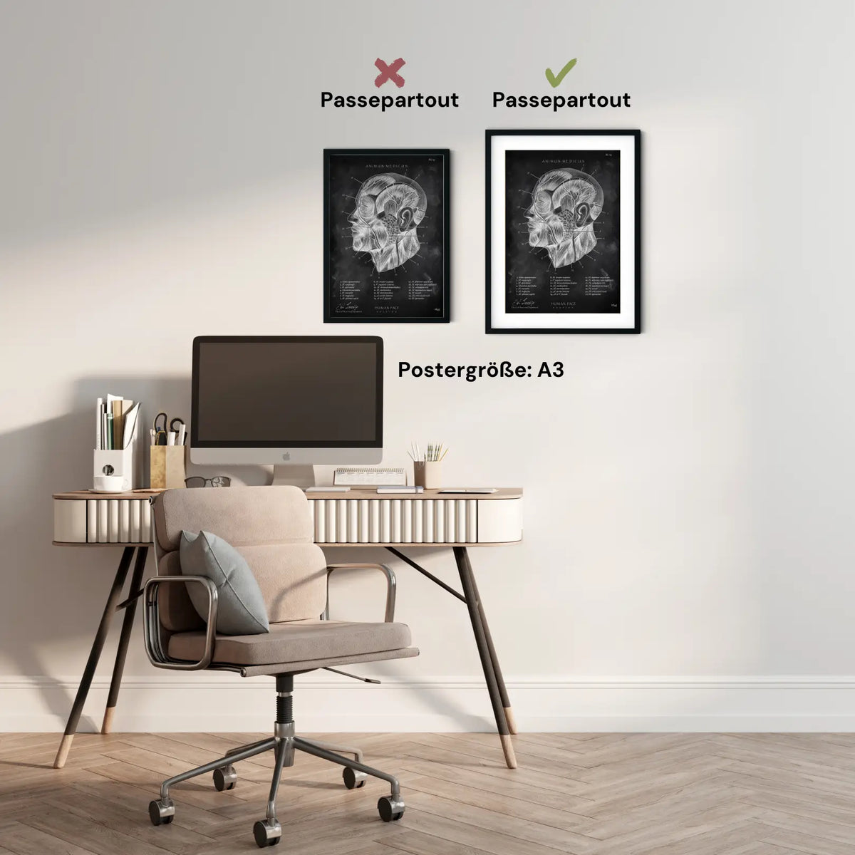 Die Gesicht Anatomie - Chalkboard - Animus Medicus GmbH