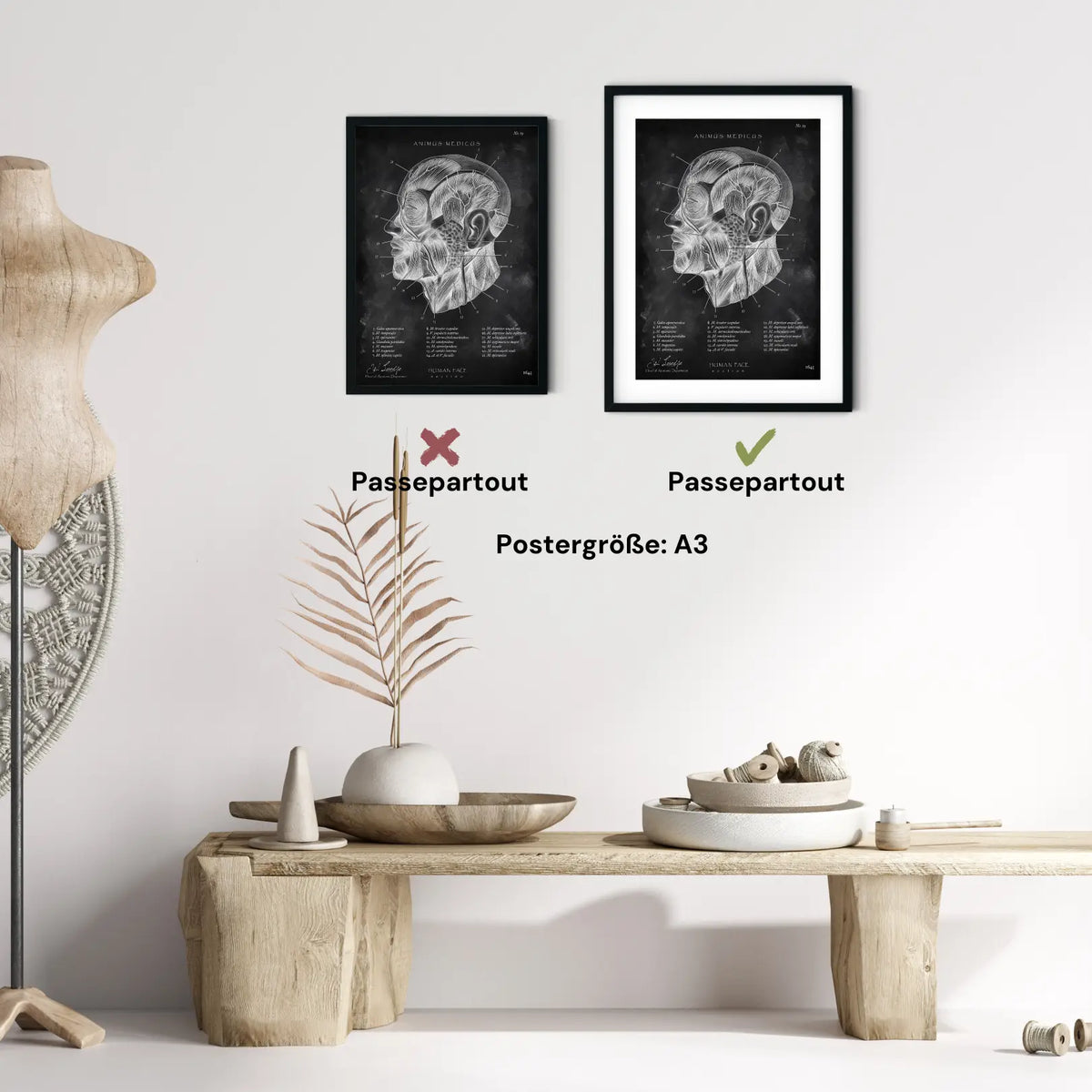 Die Gesicht Anatomie - Chalkboard - Animus Medicus GmbH