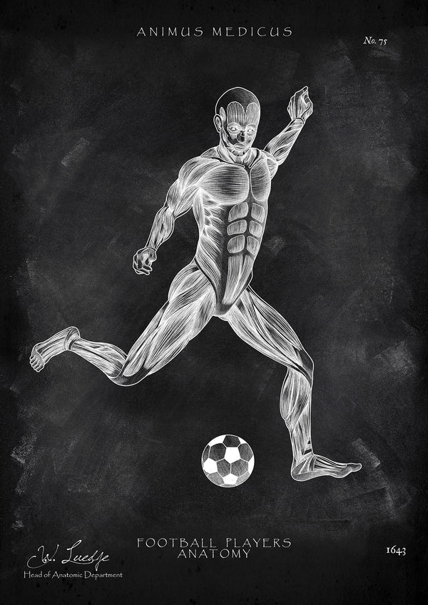 Fußball Anatomie Poster - Chalkboard