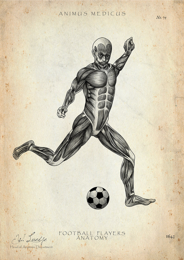 Fußball Anatomie Poster