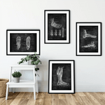 Fuß Anatomie Sammlung - Chalkboard - Animus Medicus GmbH