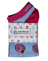Gehirn Anatomie Sneaker Socken - Animus Medicus GmbH