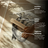 Herz Anatomie - Animus Medicus GmbH