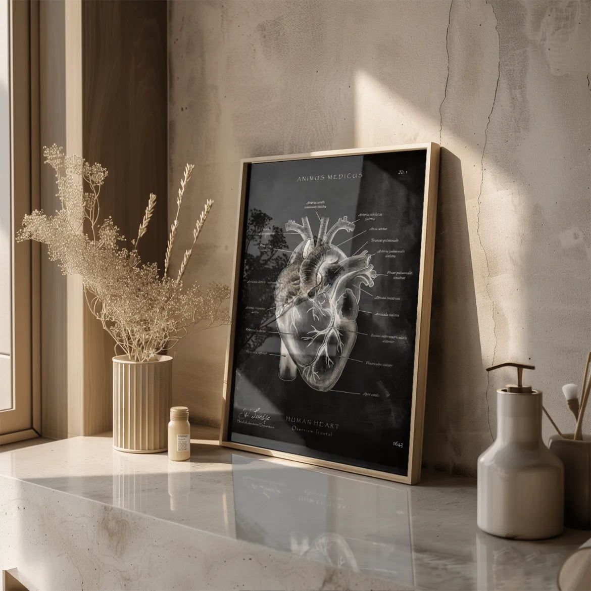 Herz Anatomie - Chalkboard - Animus Medicus GmbH