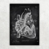 Herz im Schnitt - Chalkboard - Animus Medicus GmbH