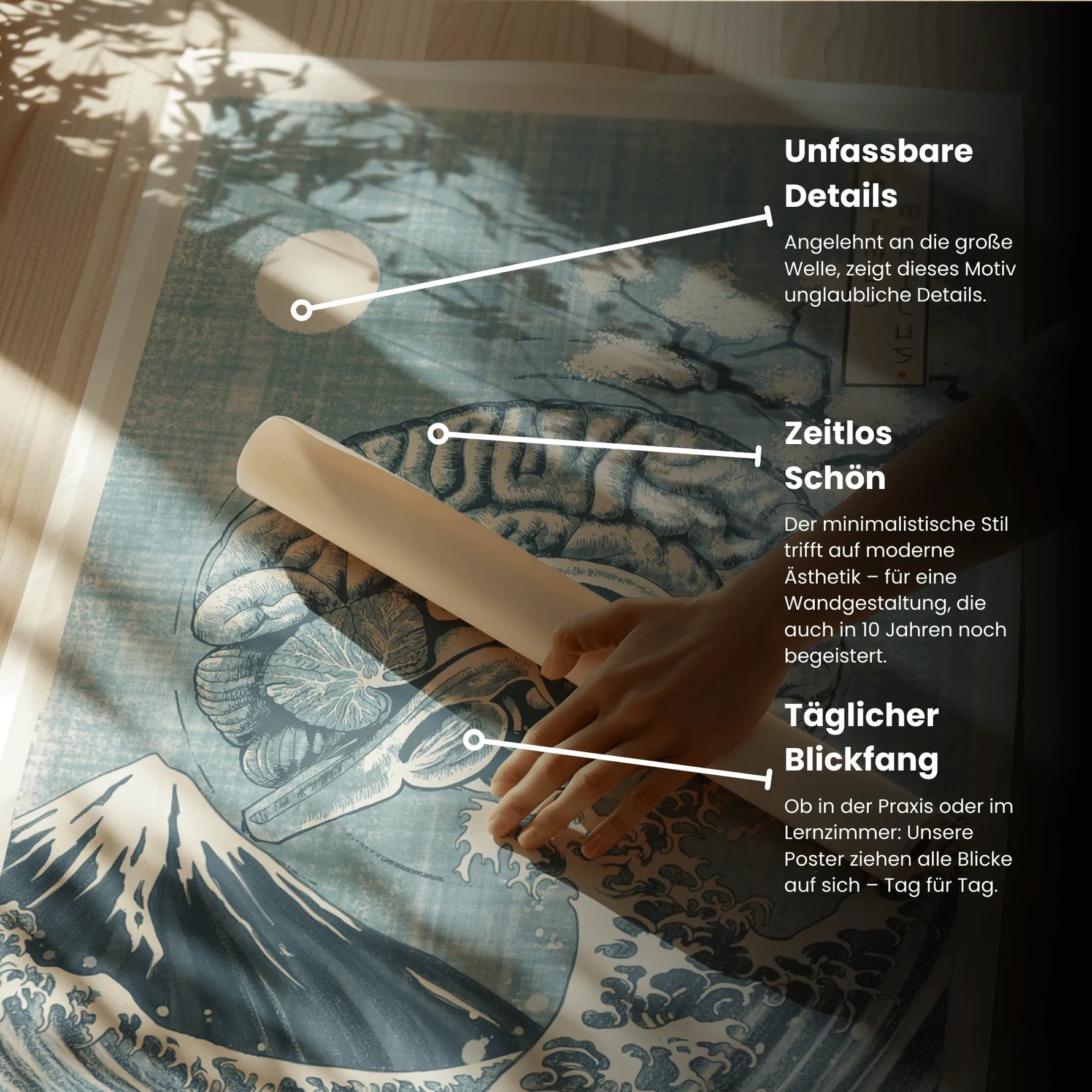 Japanische Hirnströme - Animus Medicus GmbH