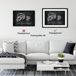 Kaumuskulatur Anatomie - Chalkboard - Animus Medicus GmbH