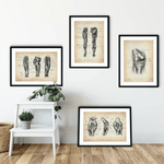 Knie Anatomie Sammlung - Animus Medicus GmbH