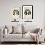 Lungen Anatomie - Animus Medicus GmbH
