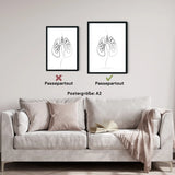 Lungen Anatomie Minimalist - Animus Medicus GmbH