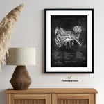 Mittelohr Anatomie - Chalkboard - Animus Medicus GmbH