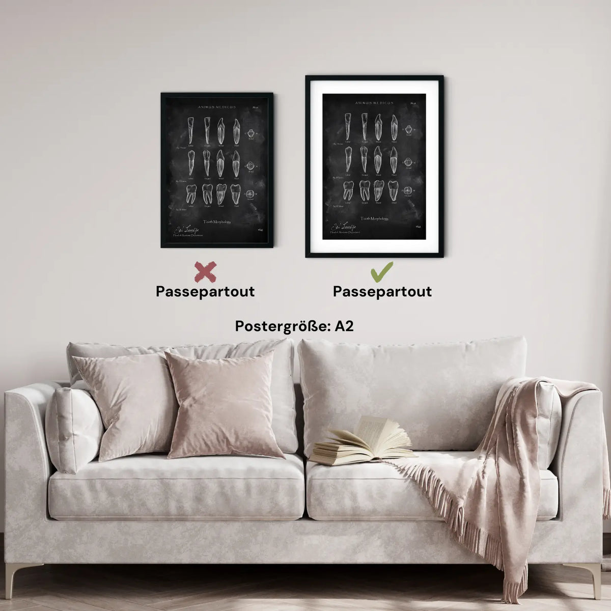 Morphologie der Zähne - Chalkboard - Animus Medicus GmbH