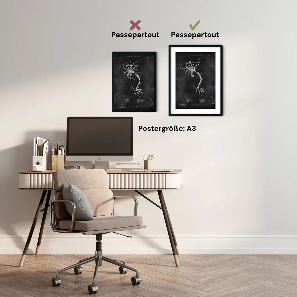 Nervenzelle Aufbau - Chalkboard - Animus Medicus GmbH