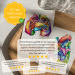 Penis mit Scrotum - Animus Medicus GmbH