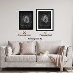Penis mit Scrotum - Chalkboard - Animus Medicus GmbH