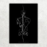 Rücken Anatomie Minimalist Dark - Animus Medicus GmbH