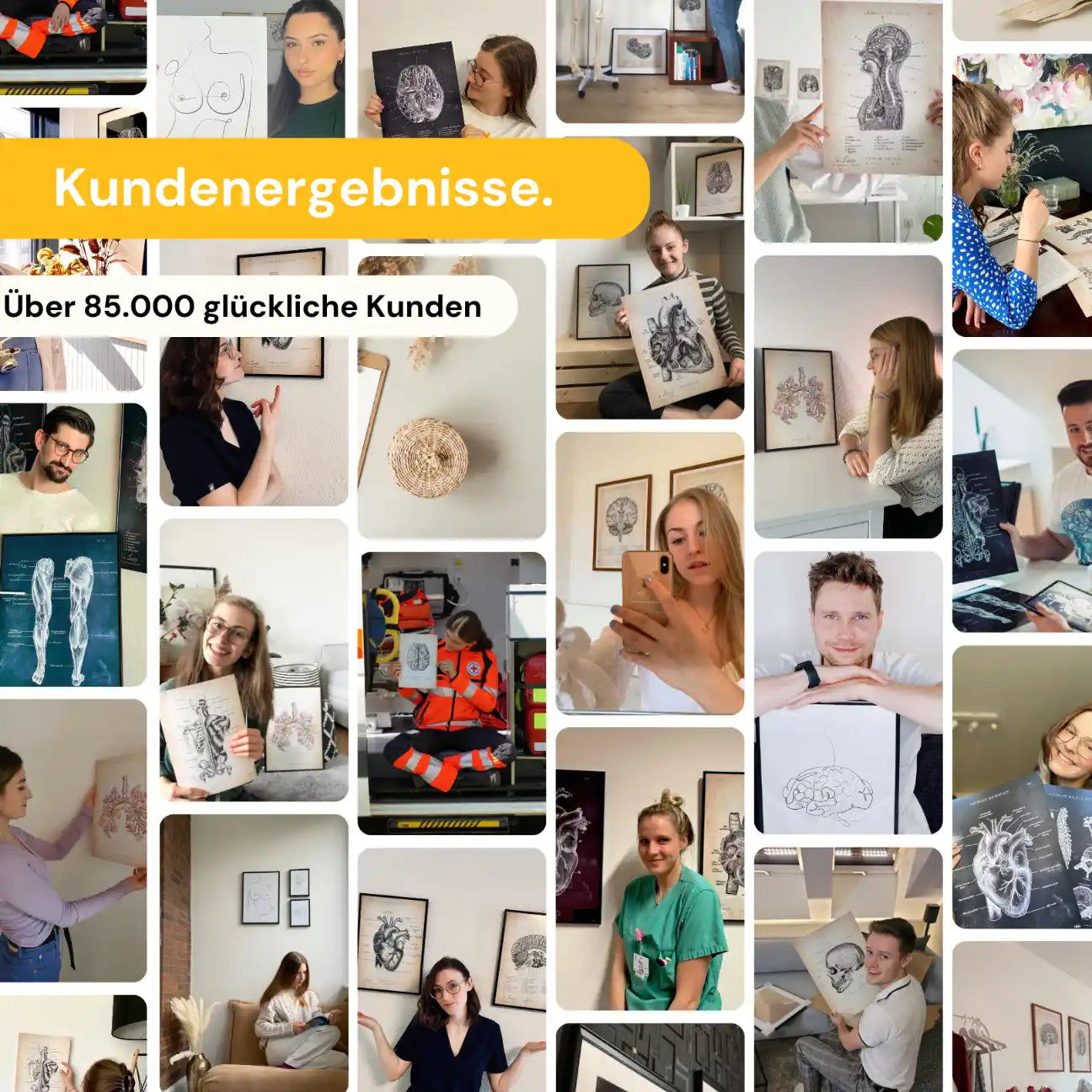 Schädel - Reallife - Animus Medicus GmbH