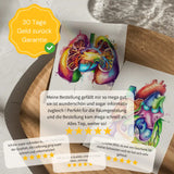 Schädel - Reallife - Animus Medicus GmbH