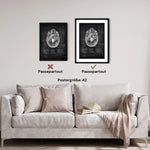 Schädelbasis Anatomie - Chalkboard - Animus Medicus GmbH