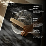 Schädelbasis Anatomie - Chalkboard - Animus Medicus GmbH