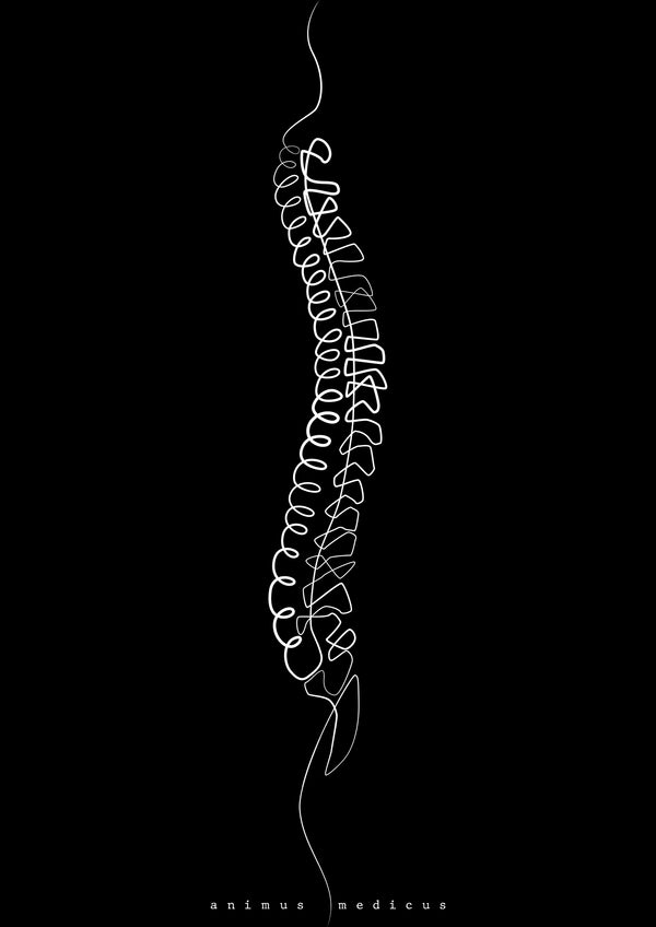Wirbelsäule Anatomie Minimalist Dark