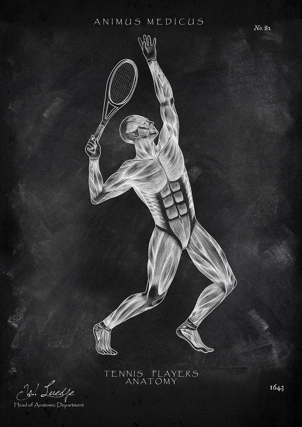 Tennis Anatomie Poster - Chalkboard