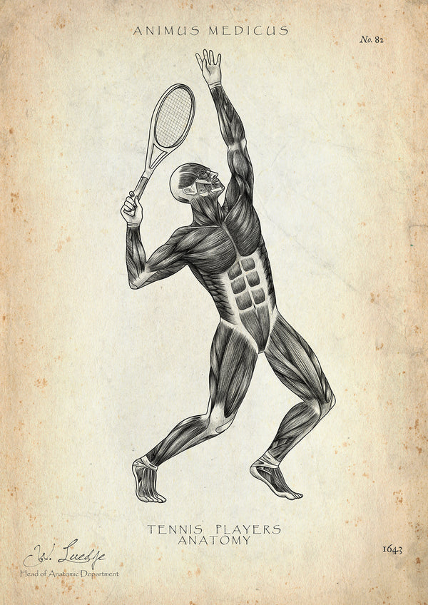 Tennis Anatomie Poster