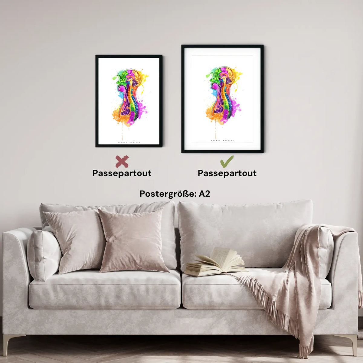 Thorax im Sagittalschnitt - Rainbow - Animus Medicus GmbH