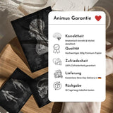 Turnen Anatomie Poster - Animus Medicus GmbH