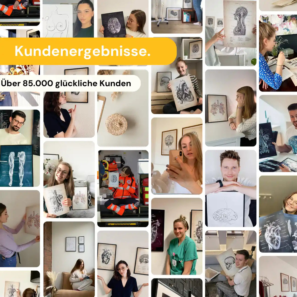 Übersicht der Zähne - Chalkboard - Animus Medicus GmbH