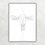 Uterus Anatomie Minimalist - Animus Medicus GmbH