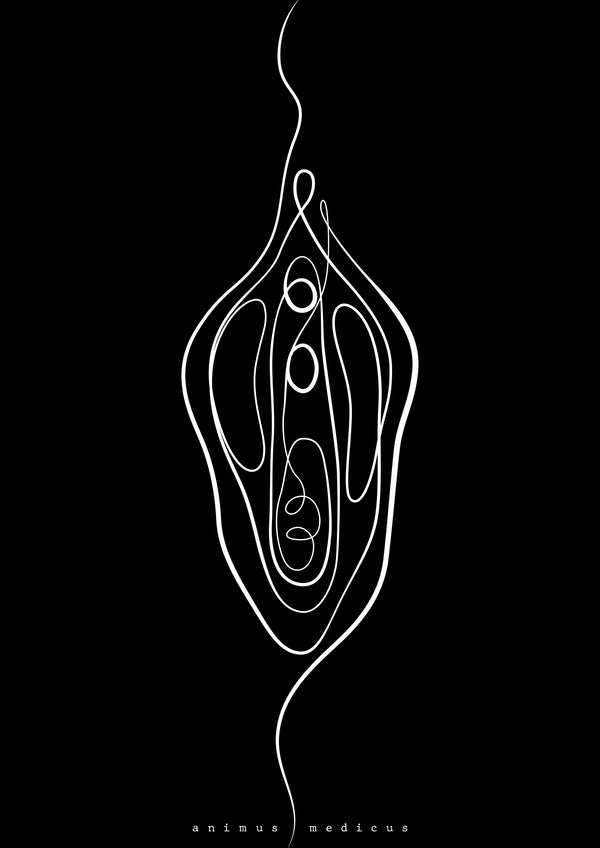 Vulva Anatomie Minimalist Dark