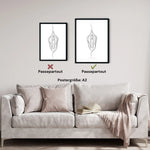 Vulva Anatomie Minimalist - Animus Medicus GmbH
