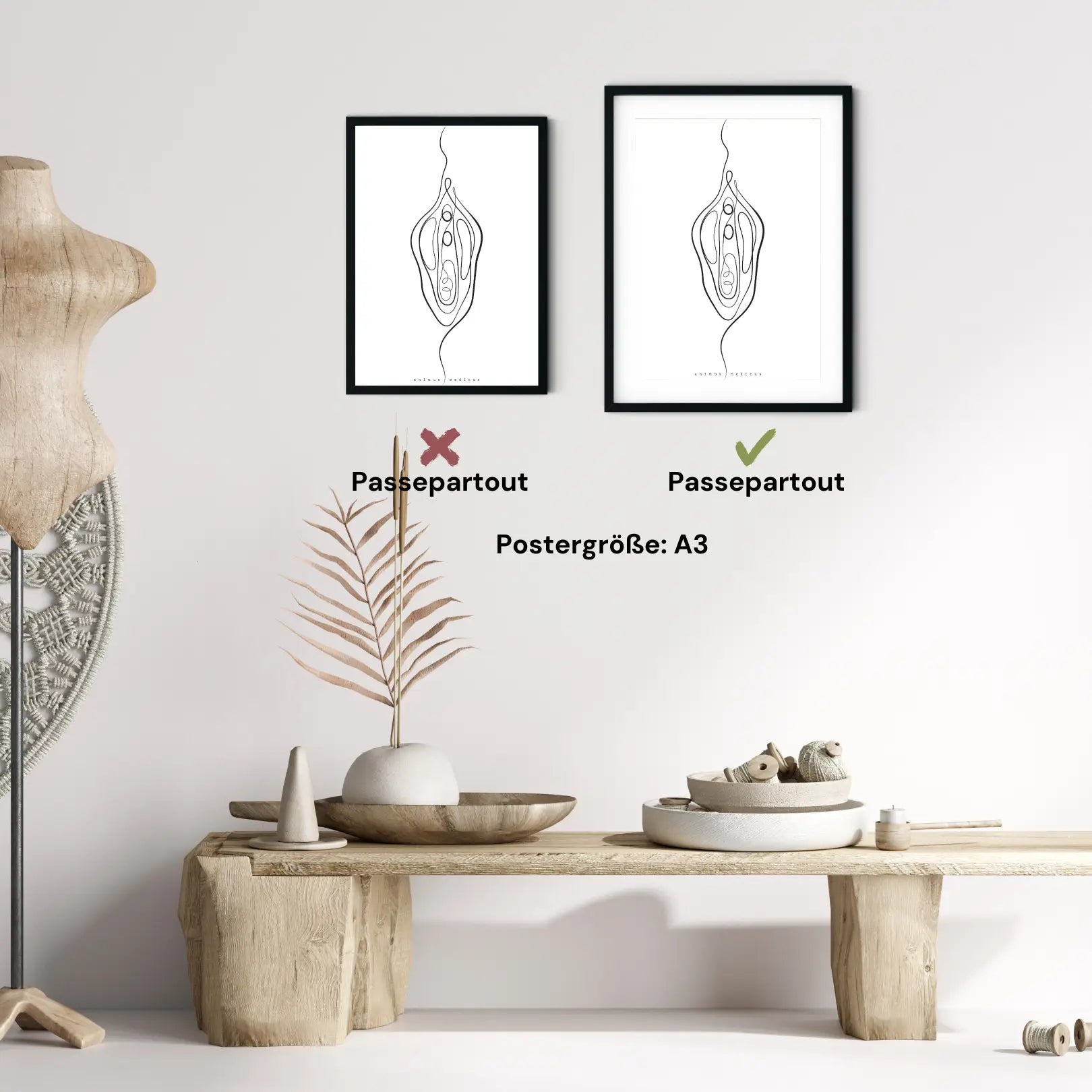 Vulva Anatomie Minimalist - Animus Medicus GmbH