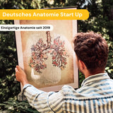 Zahn Anatomie im Querschnitt - Animus Medicus GmbH