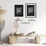 Zahn Innervation - Chalkboard - Animus Medicus GmbH