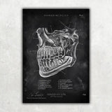 Zahnarzt Sammlung - Chalkboard - Animus Medicus GmbH