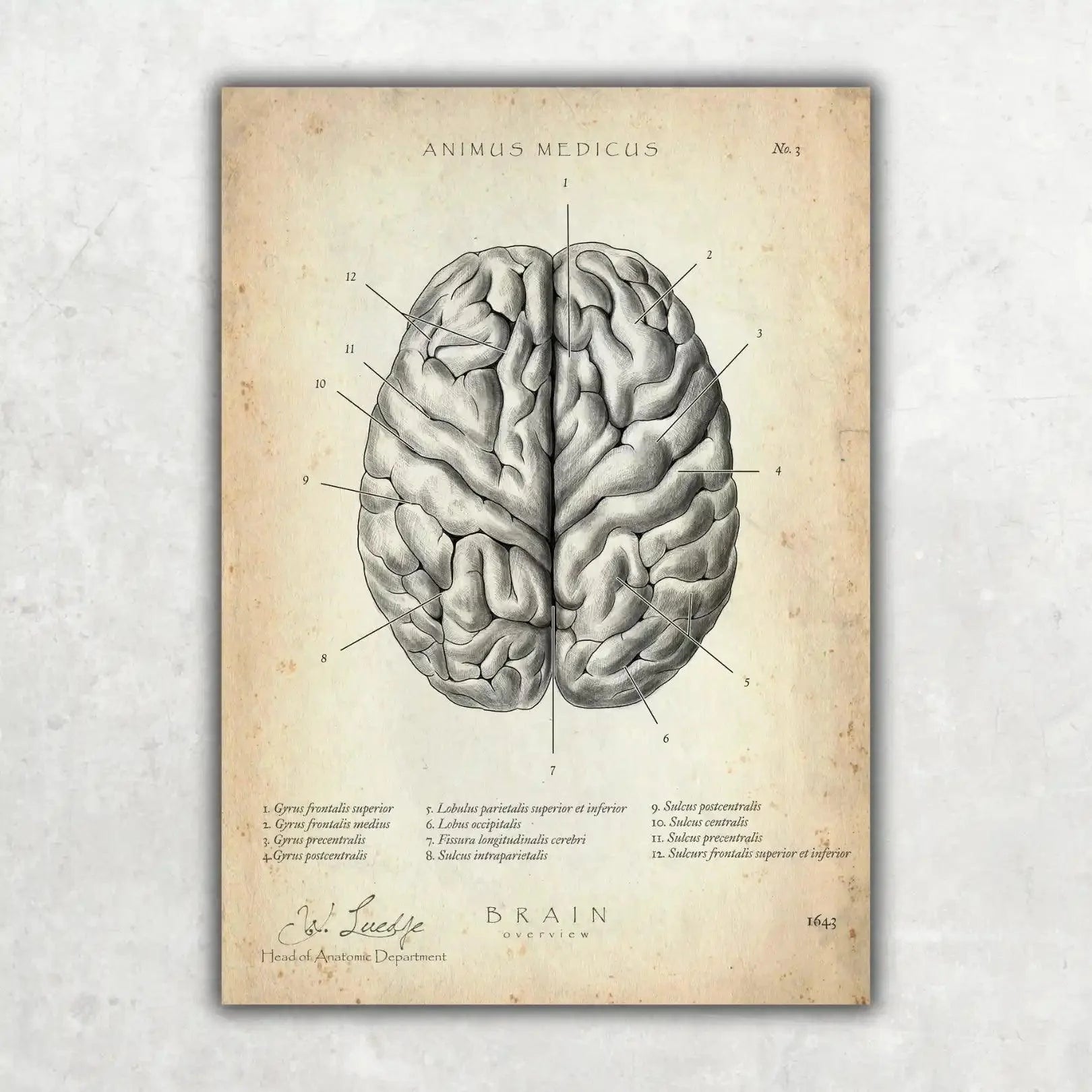 Pack Neurologie