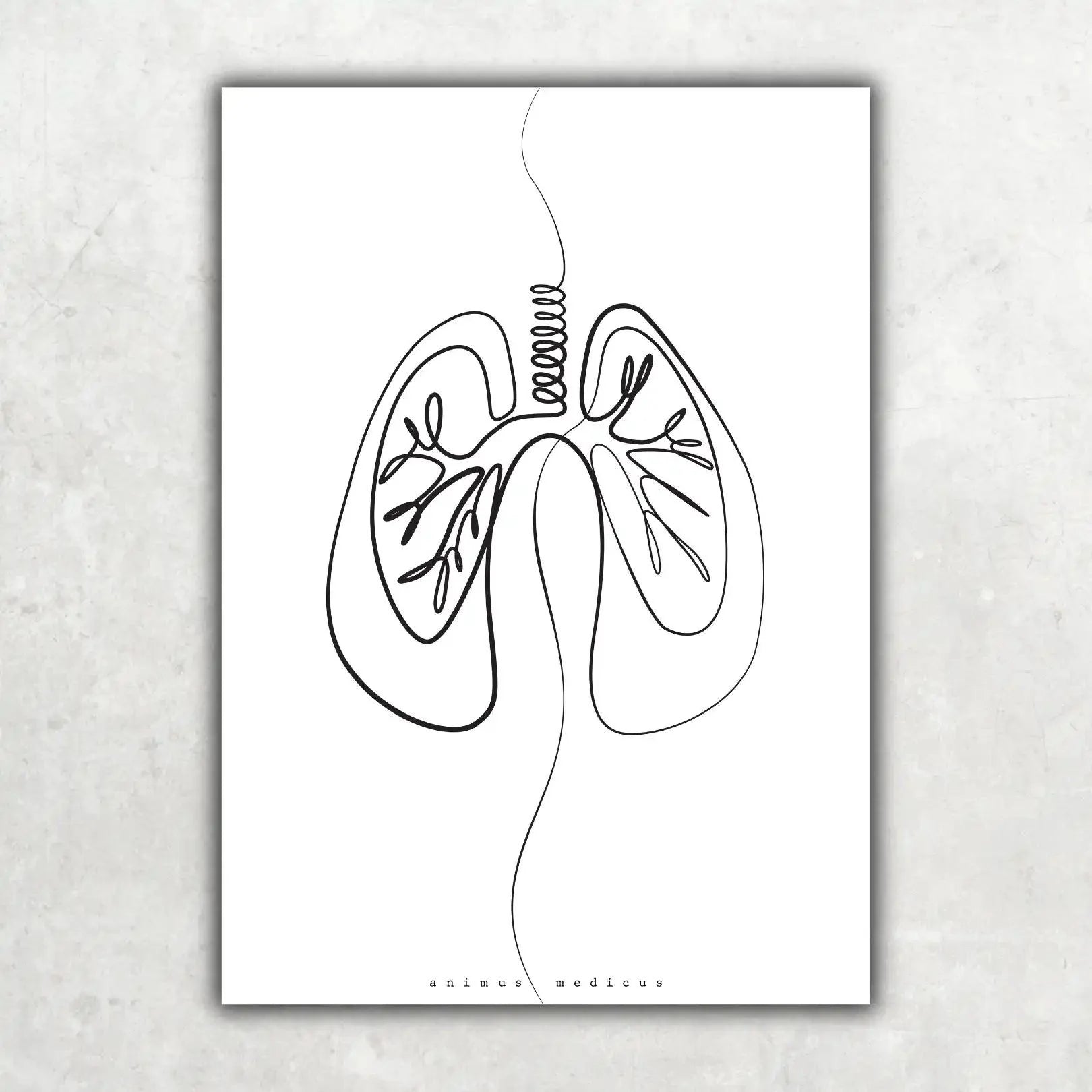 Incontournables Minimalistes
